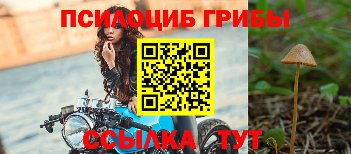 Галлюциногенные грибы GOLDEN TEACHER  Галлюциногенные грибы мицелий  Светлоград  Вход с VPN 